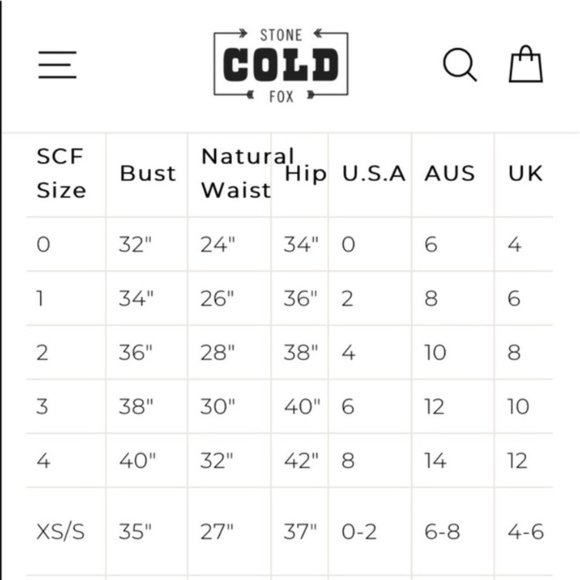 Stone Cold Fox Neutrals Silk Long Dress Size Label 3 - USA 6 Penelope NWT - Picture 15 of 16